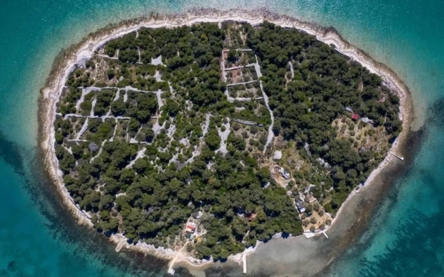 Robinson house''La Vida''