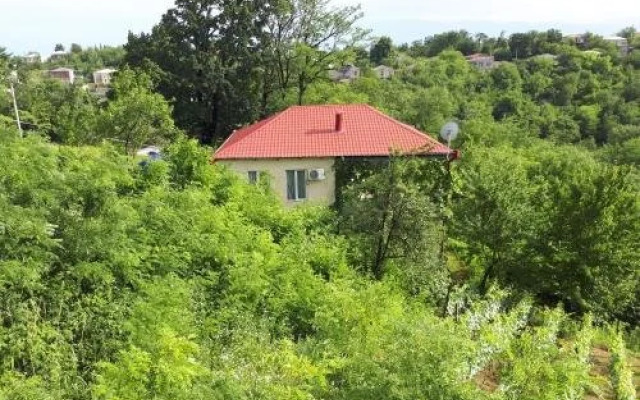 Guest house LIA