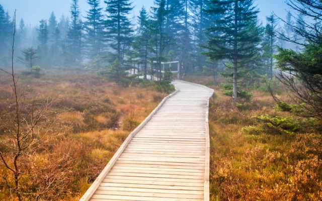 PLESSBERG Apartments Plešivec