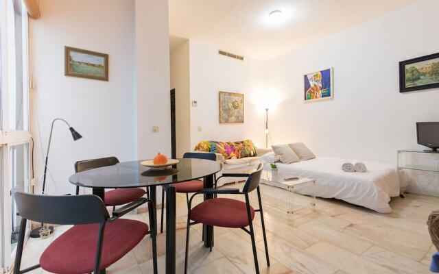 Apartamento Pavia Central Suite