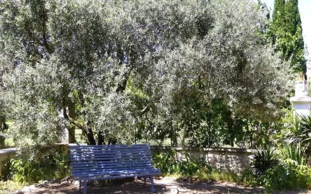 Holiday Home in Provence With Terrace