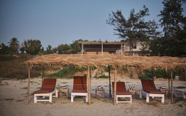 Woodpegger By The Beach