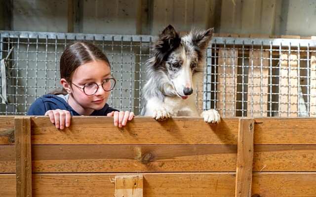 Yourte dans une ferme pédagogique
