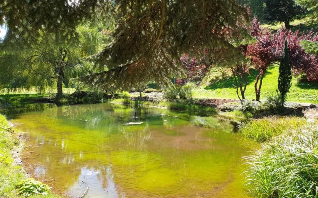 Black Forest Family Apartment-Zum Letzten G'Stehr