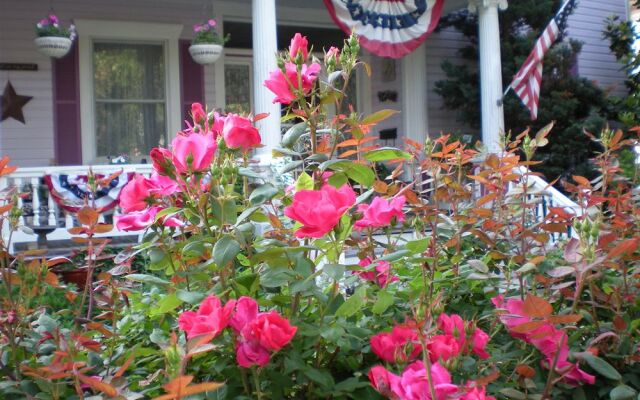 Belle Hearth Bed and Breakfast