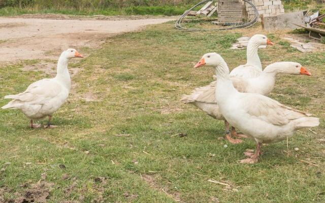 Ferienhaus Geest auf Föhr