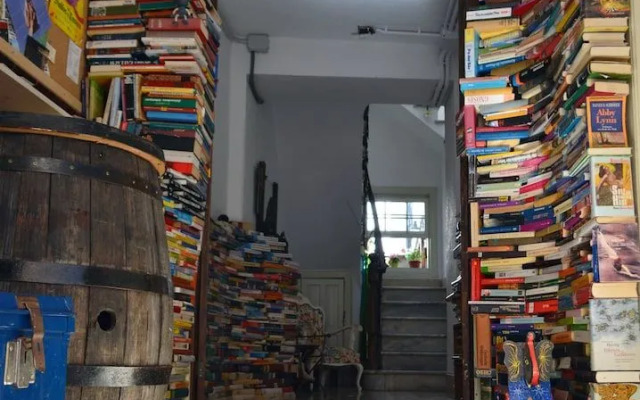 Ratones de Biblioteca - Hostel