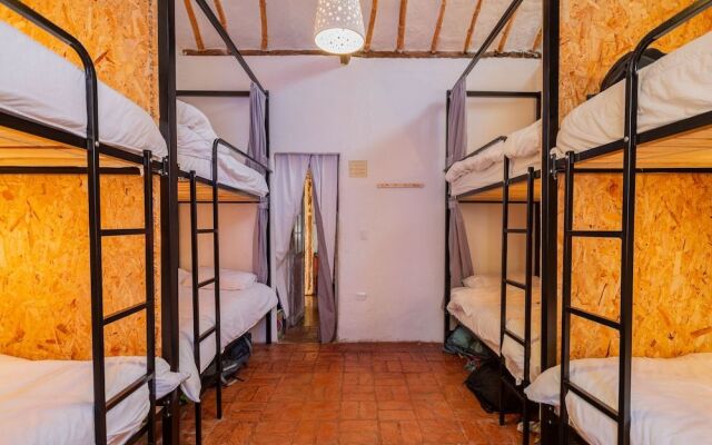 Botanico Hostel