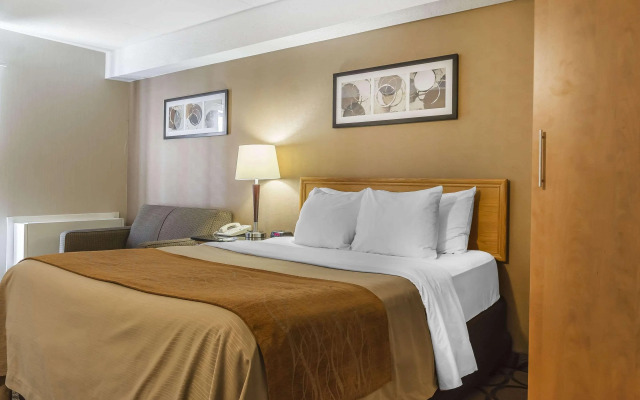 Comfort Inn Cobourg