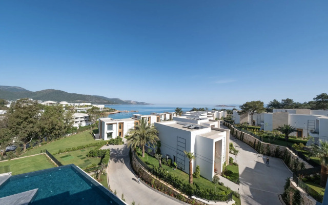 The Norm Collection Door'a