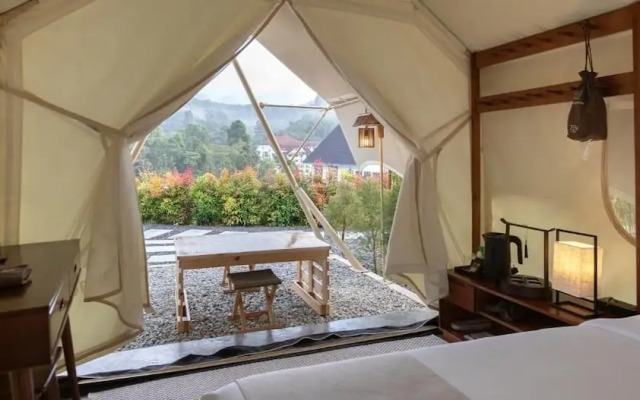 Zen By Stellar Cameron