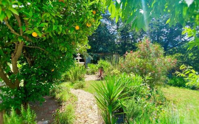 Le Chat Vert - appartements Adults Only