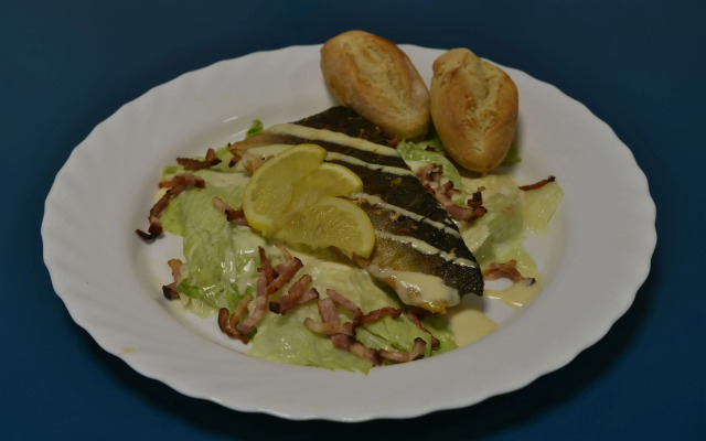 Penzion Hotel U Tesařů v Nových Syrovicích