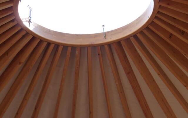 Les Carlines du Grand Bois