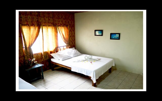 The Sharks Tail Dive Resort