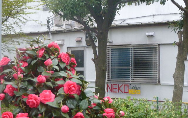 Guesthouse Neko Neko – Hostel