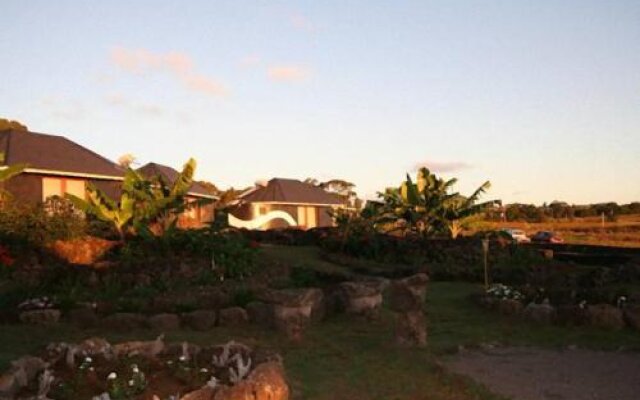 Altiplanico Rapa Nui