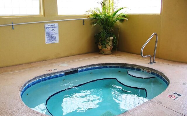 Royal Palms 806NS by RedAwning