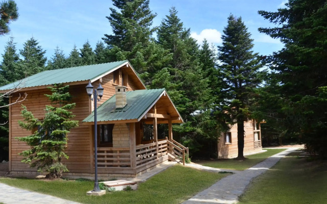 Uludag Orman Koskleri