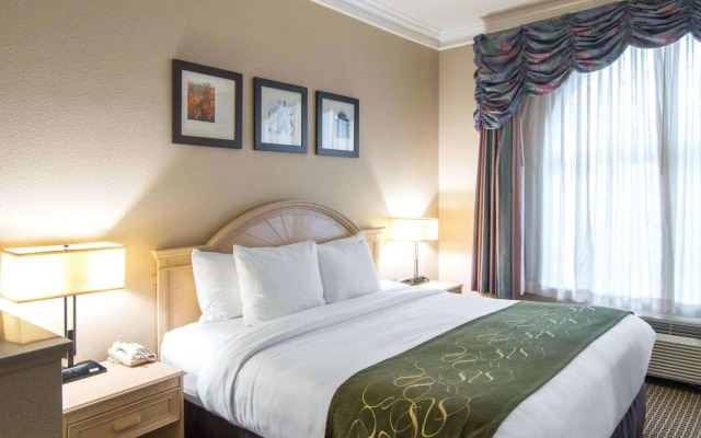 Comfort Suites Kingwood Houston North