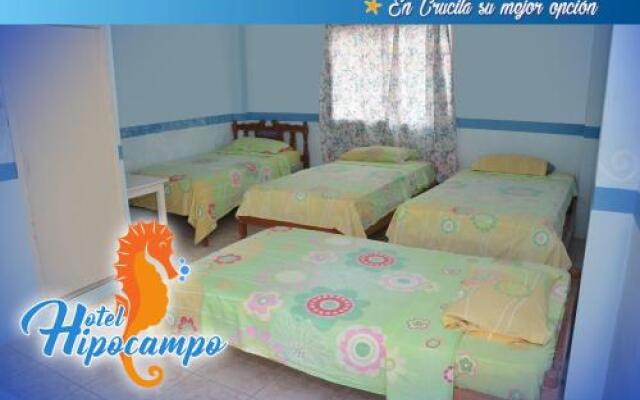 Hotel Hipocampo