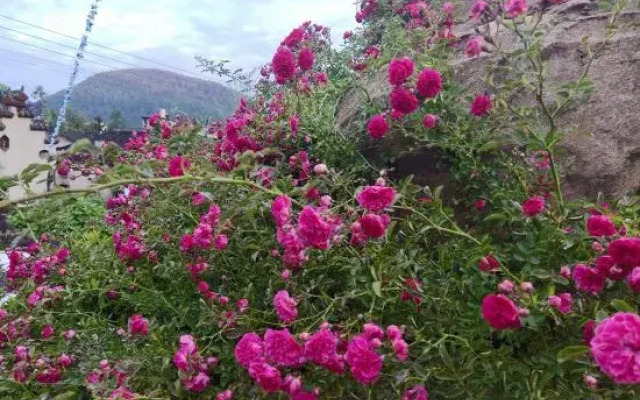 Lichuan Chunhuiyuan Homestay