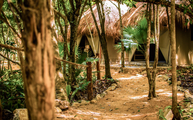 Akumal Natura Glamping