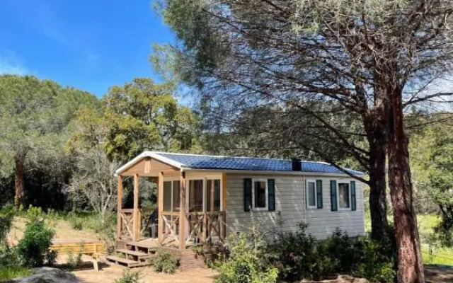 Palombaggia location i pini