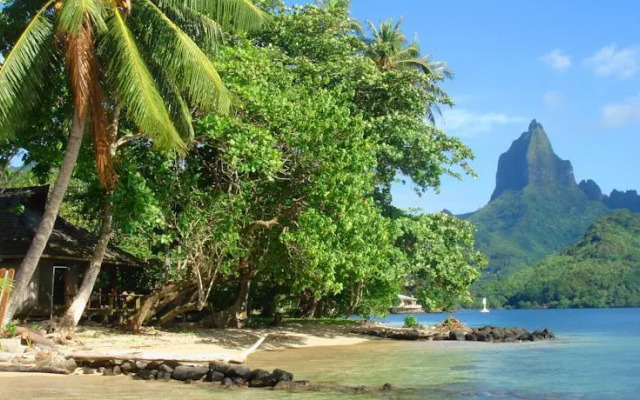 Robinson's Cove Villas