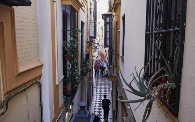 Santa Cruz Pearl by Valcambre