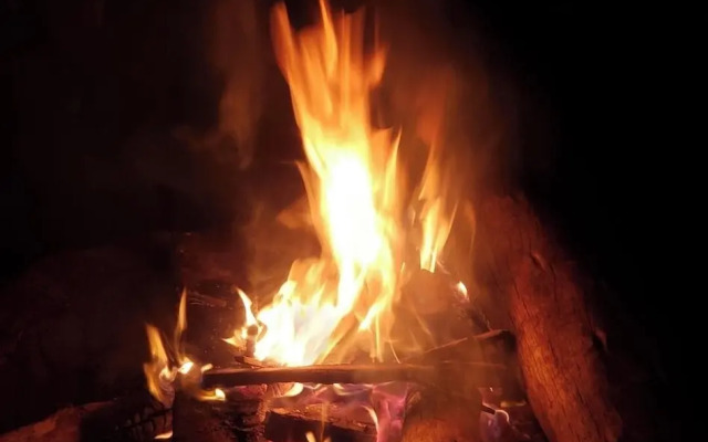 Tree House with a Pool