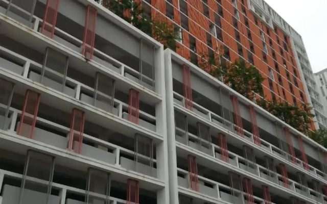 Suria Jelutong