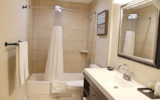 Bell & Main Studios 102