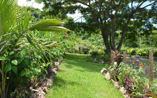 Fijian Oasis