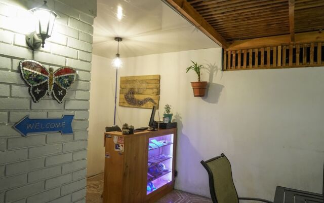 Hostel Punto Cavancha