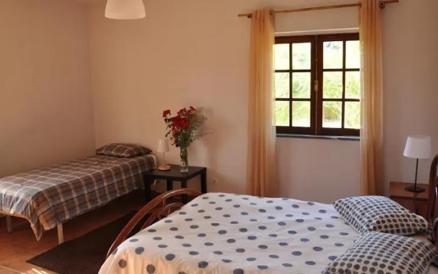 Holiday Homes in Zambujeira do Mar