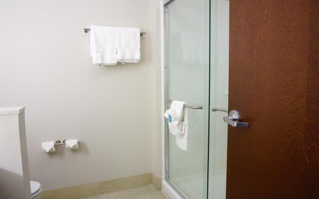 Holiday Inn Express & Suites Omaha - Millard Area by IHG