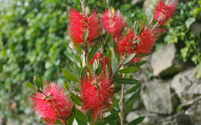 Galpon Boutique Aldea De Abaixo