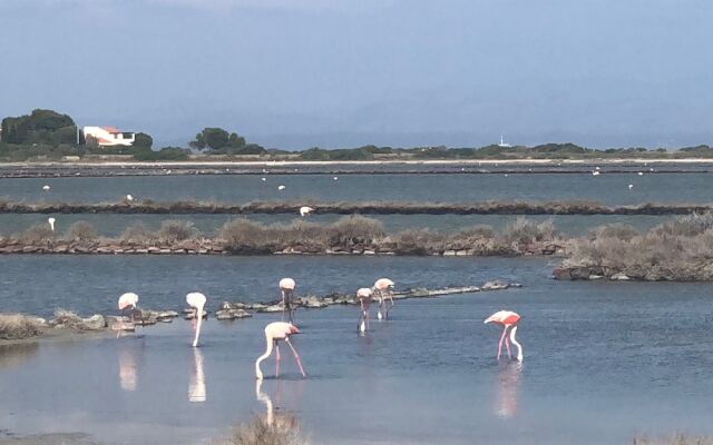 Le Saline amazing apartment with seaview