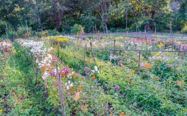 Hotel Chale Nosso Sitio Guaramiranga