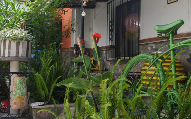 Urban Seaside Oasis - Adriana's Garden Paradise