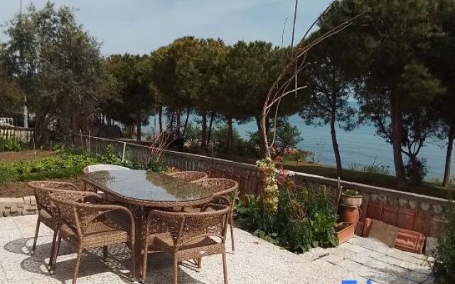 Seaside mansion with detached garden