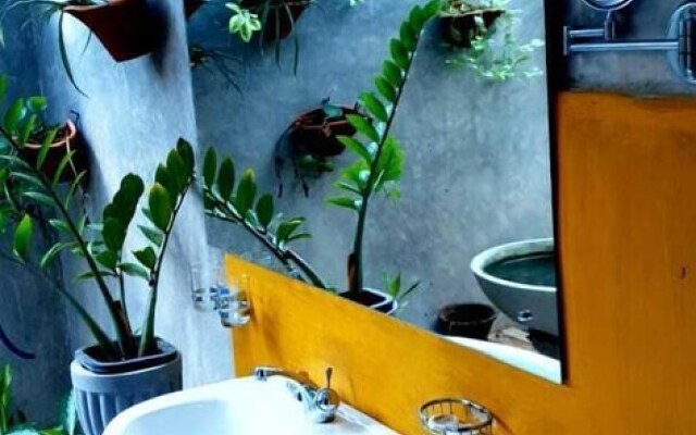 Hotel Pavana