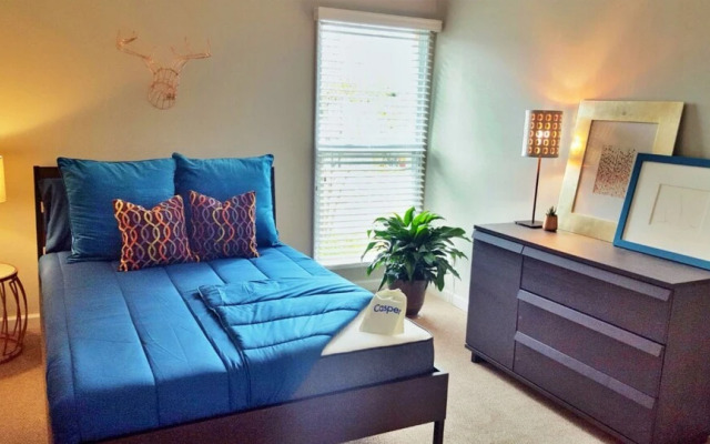 Spacious Apartments in Atlanta SK