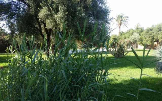 Villa Tarik