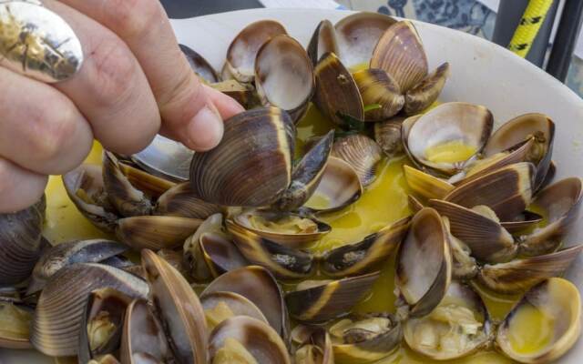 B17 - The Stunning Seaview Apartment