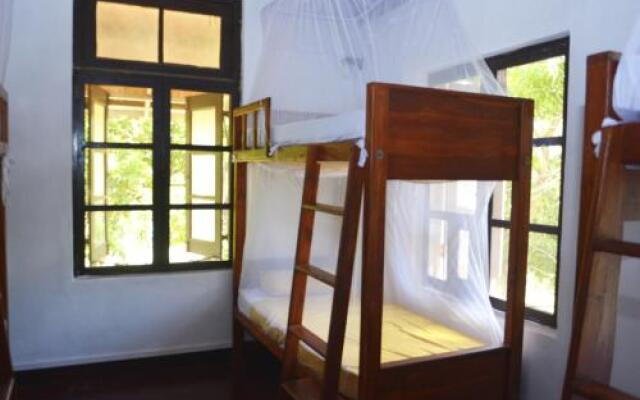 Fig and Gecko Hostel