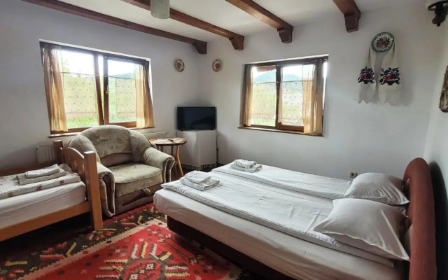 Pension Ardelean
