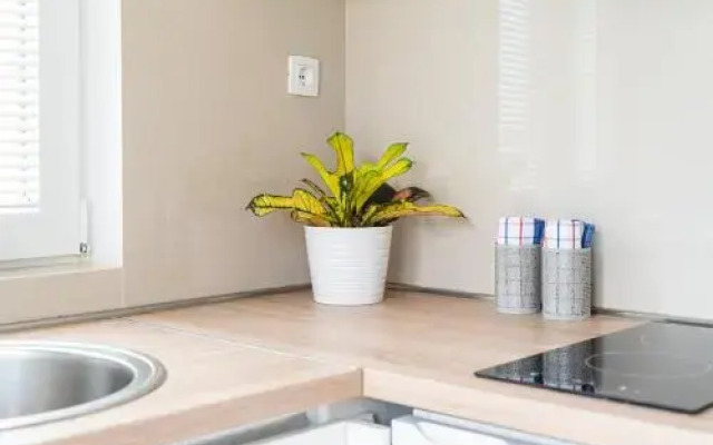 Apartment Sanja