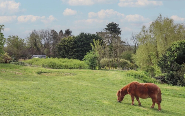 Burr 2 Shepherds Hut